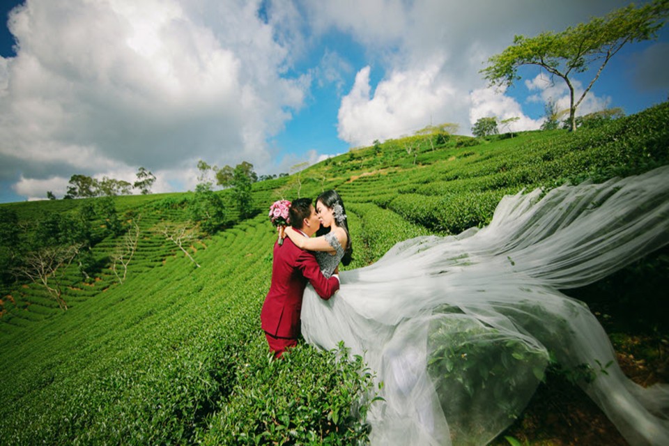 Chụp ảnh cưới trên thảo nguyên - Ảnh minh họa: Internet