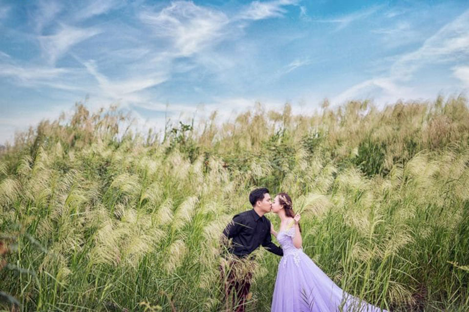 hình cưới thơ mộng trên cánh đồng cỏ lau