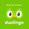 Nâng Cấp Duolingo Super Chính Chủ, Giá Siêu Rẻ