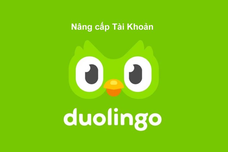 Nâng Cấp Duolingo Super Chính Chủ, Giá Siêu Rẻ